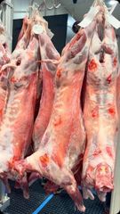 Premium Frozen Whole Goat Carcass | Indonesian Origin | Export Supply - Image 1